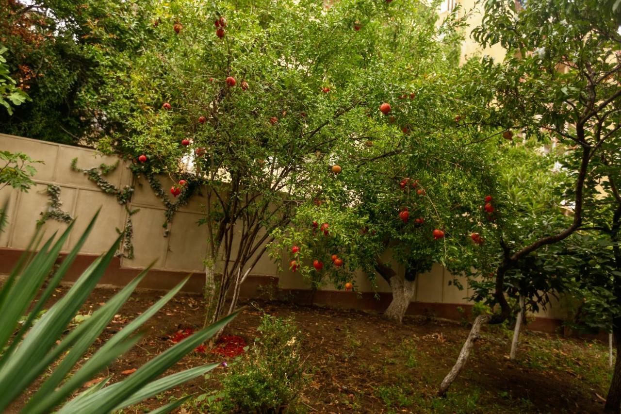 Yacobs Grape Garden Tbilisi Esterno foto